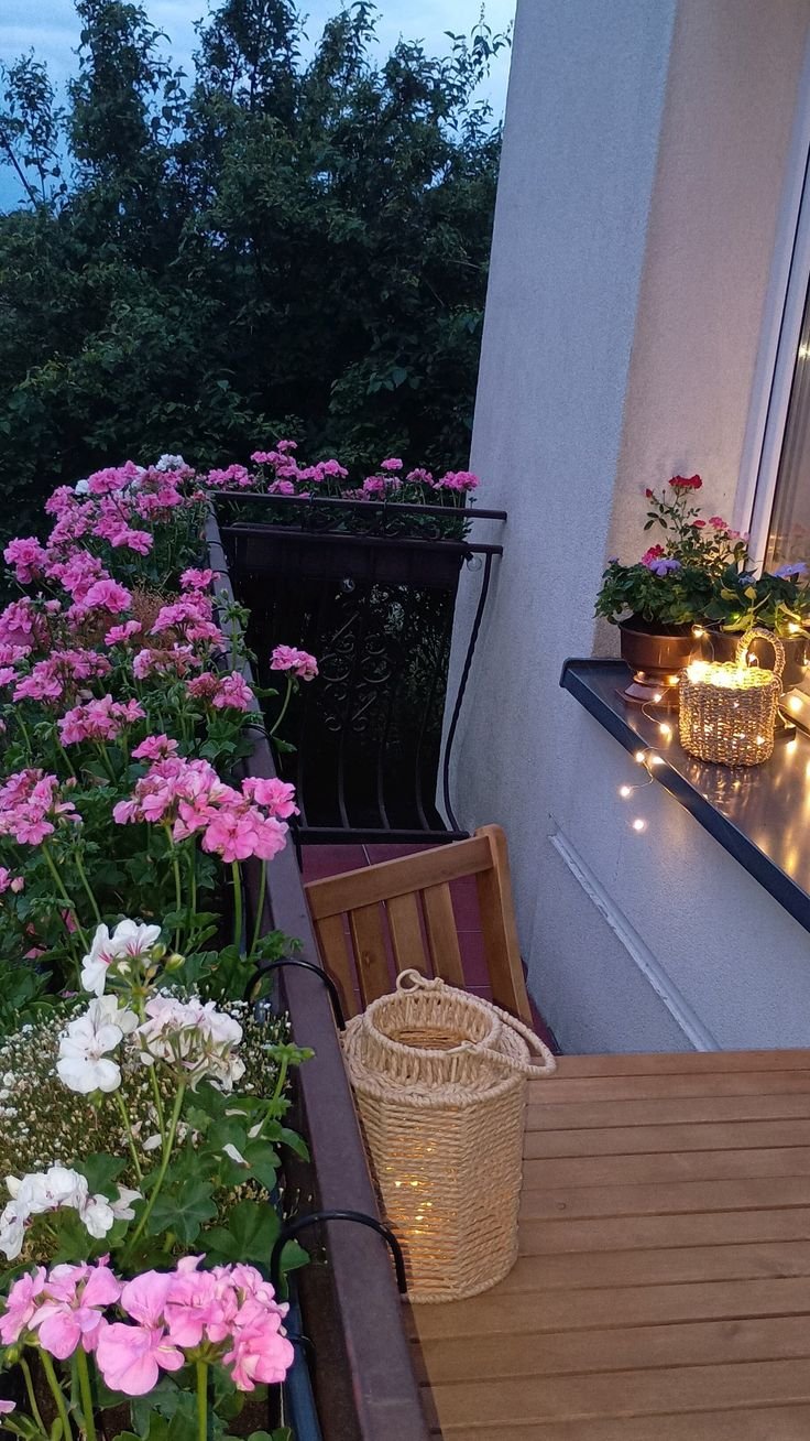 Plante d'extérieur 2